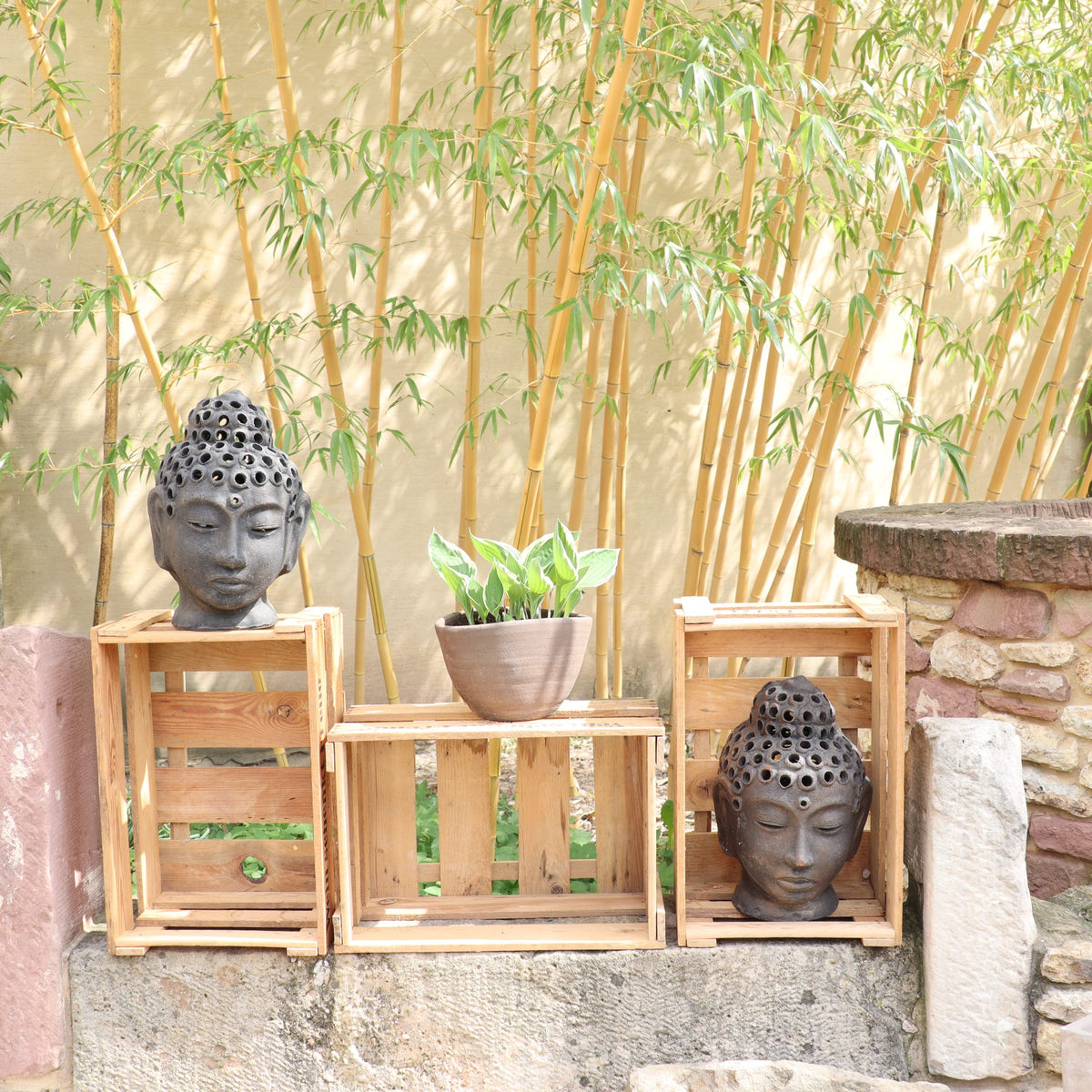Eine ruhige Gartenszene zeigt zwei Buddhakopf-Skulpturen auf einer Alten Weinkiste aus Holz Vintage aus der Pfalz neben einer Topfpflanze. Bambusstäbe und eine Steinmauer verstärken die ruhige Umgebung und schaffen eine beruhigende Oase.