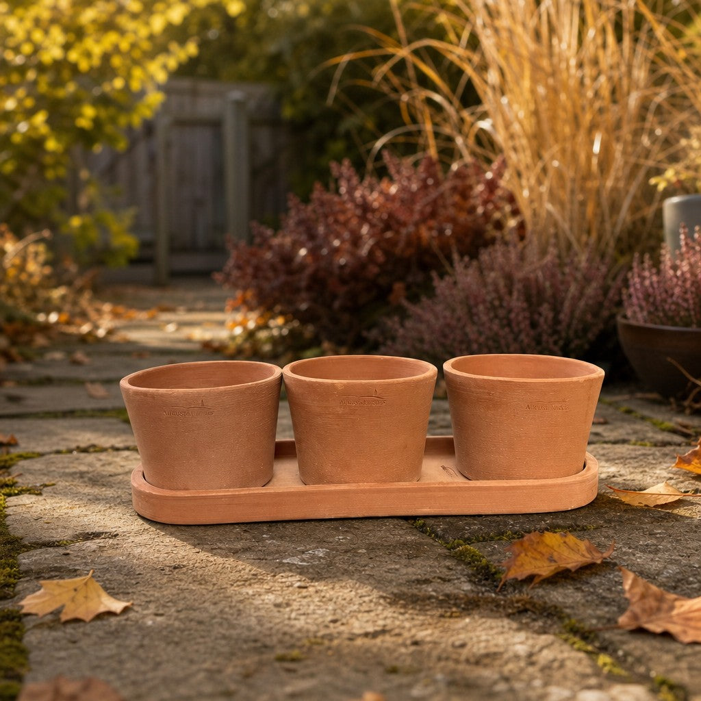 Drei leere Terrakottatöpfe stehen auf einem passenden Tablett auf einer Steinterrasse, umgeben von Herbstlaub und Gartenpflanzen, im Hintergrund scheint warmes Sonnenlicht.