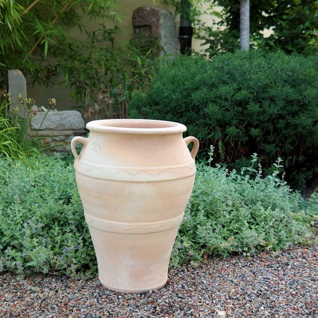 Eine große, beige, frostfeste Terrakotta-Amphore „Olea“ (H= 50 cm) mit zwei Henkeln steht auf einem Kiesweg in einem Garten. Die Vase ist von üppigem grünem Laub und Olea-Sträuchern umgeben und schafft so eine ruhige, natürliche Umgebung.