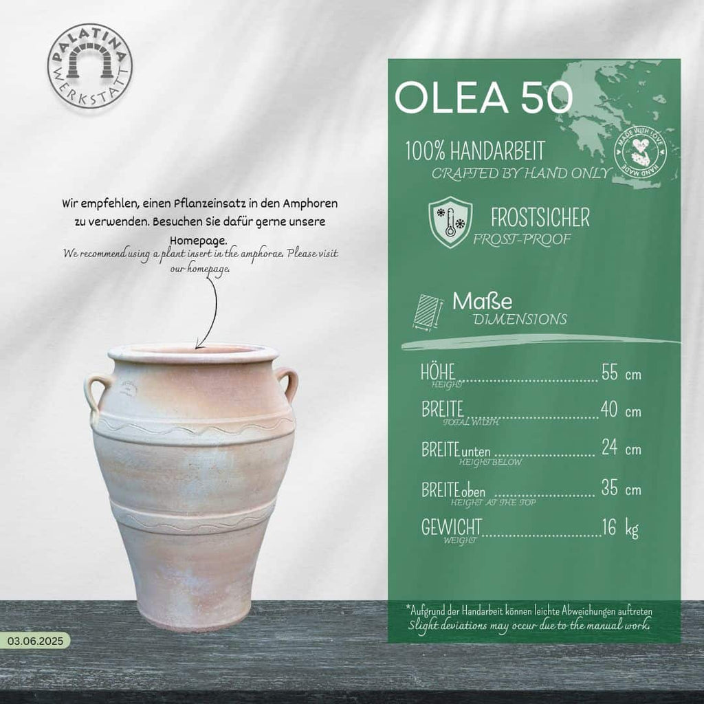 Eine beigefarbene Keramikamphore steht auf einer hellen Fläche. Auf der rechten Seite zeigt eine grüne Tafel die frostfeste Terracotta-Amphore "Olea" H= 50 cm mit Angaben zu Maßen, Gewicht und Ausstattung in deutscher und englischer Sprache.