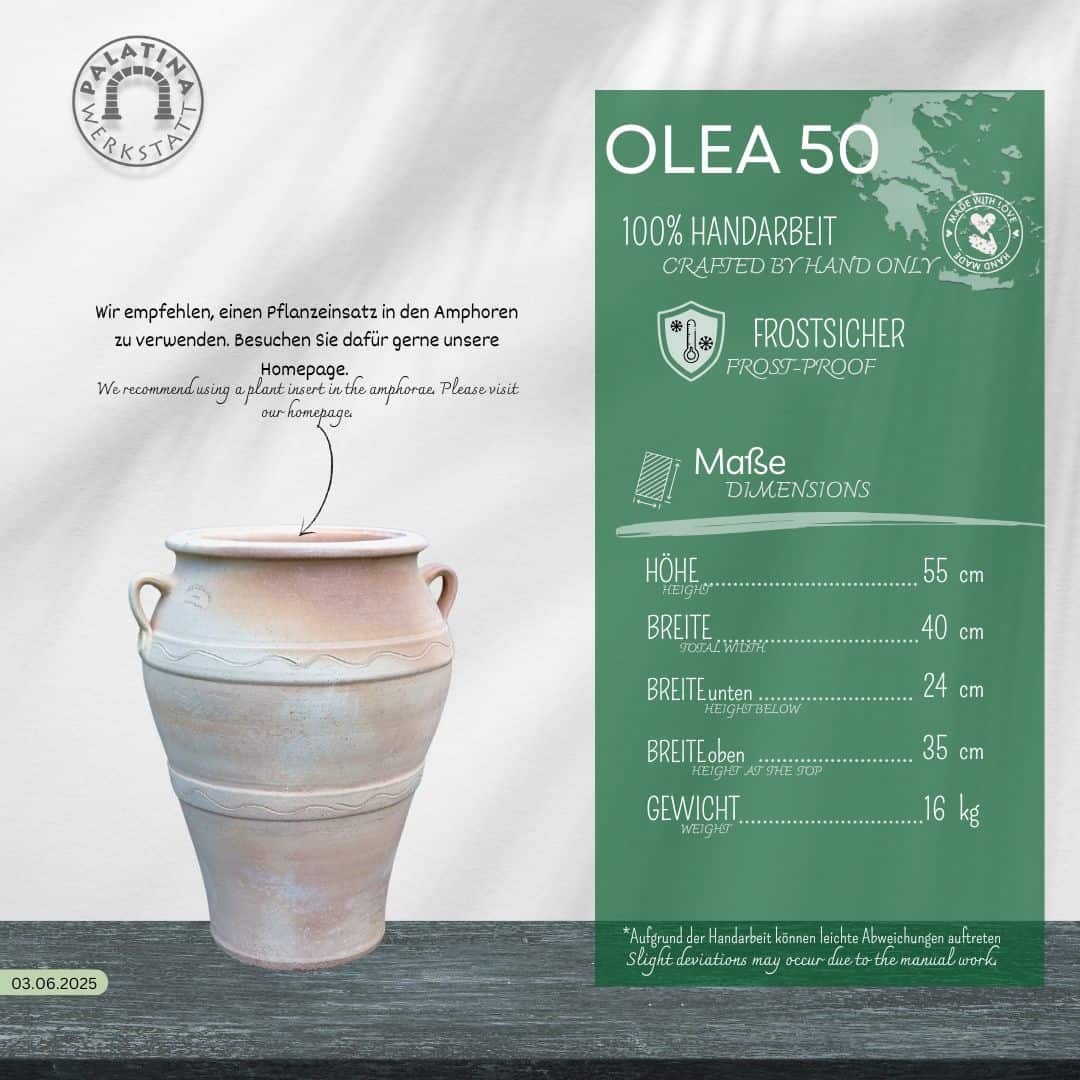 Eine beigefarbene Keramikamphore steht auf einer hellen Fläche. Auf der rechten Seite zeigt eine grüne Tafel die frostfeste Terracotta-Amphore "Olea" H= 50 cm mit Angaben zu Maßen, Gewicht und Ausstattung in deutscher und englischer Sprache.