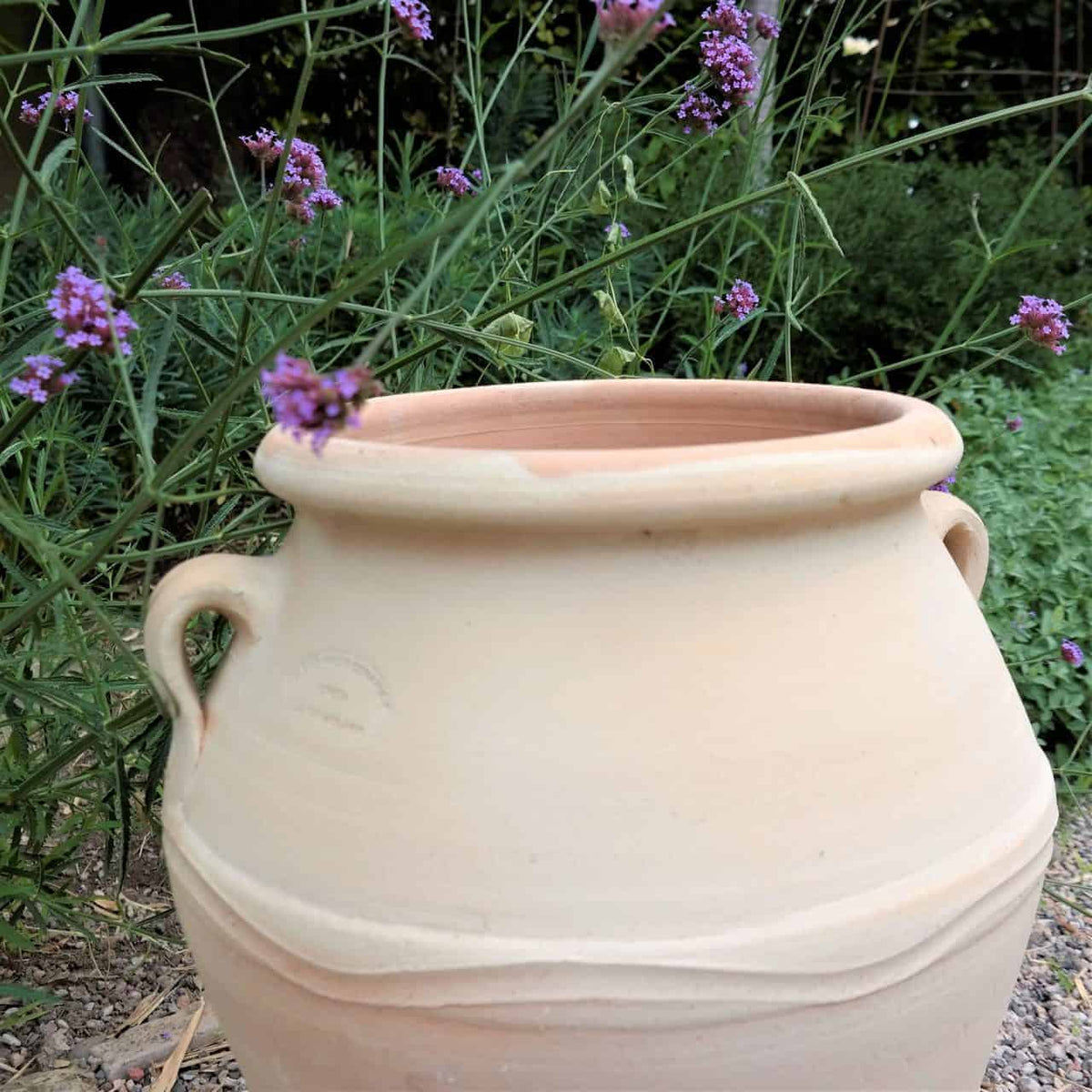 Ein großer, beiger Keramiktopf mit zwei Griffen steht zwischen grünem Laub und violetten Blumen. Der Topf ist leer und zeigt seine saubere, glatte Oberfläche und sein schlichtes, geschwungenes Design. Die leuchtenden Blumen und das Grün bilden einen kontrastierenden Hintergrund für den Topf.