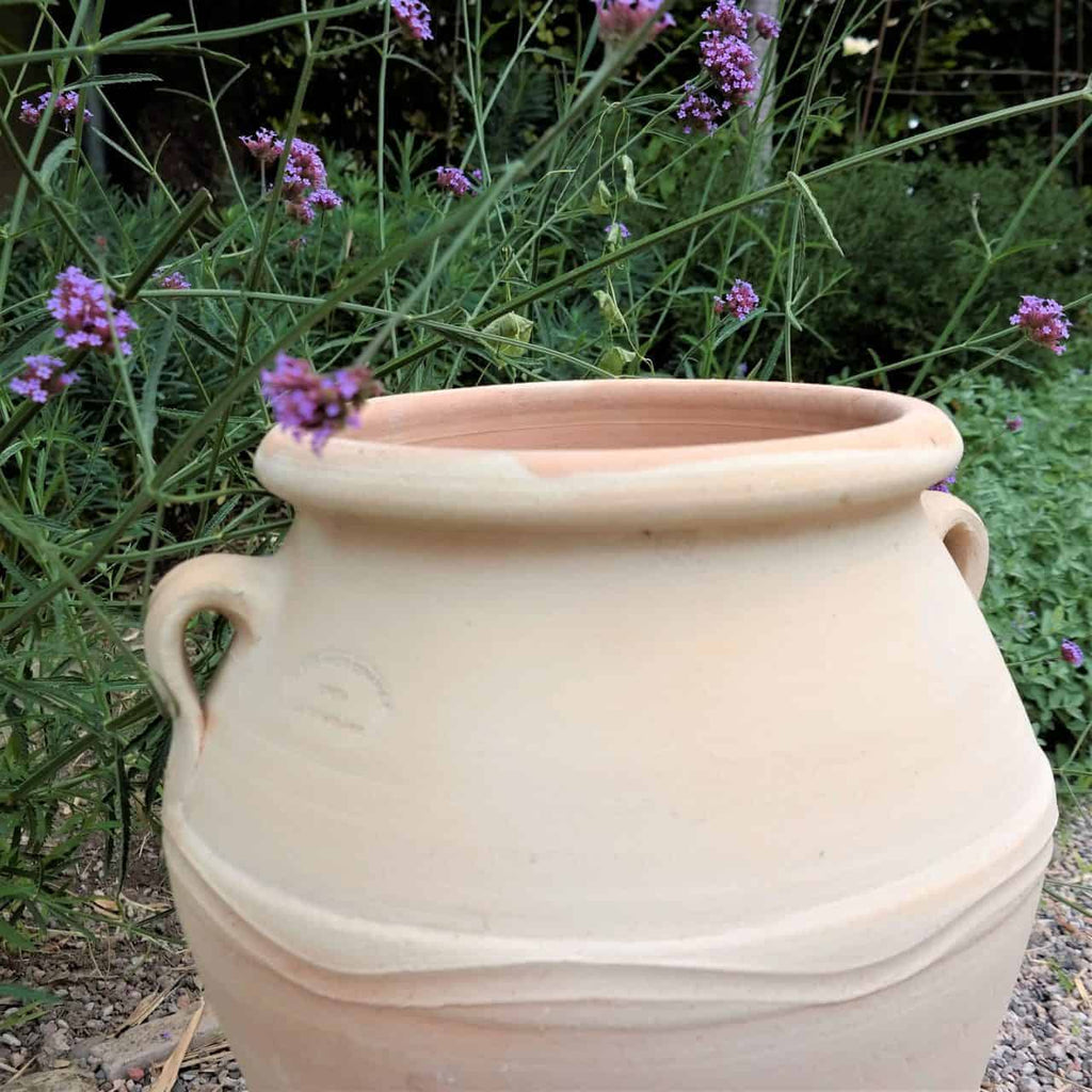 Ein großer, beiger Keramiktopf mit zwei Griffen steht zwischen grünem Laub und violetten Blumen. Der Topf ist leer und zeigt seine saubere, glatte Oberfläche und sein schlichtes, geschwungenes Design. Die leuchtenden Blumen und das Grün bilden einen kontrastierenden Hintergrund für den Topf.