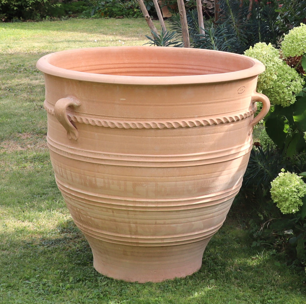 Der Terrakotta-Pflanzkübel XXL „Rosa“ mit beeindruckenden 80 cm ist ein großes Dekorationsstück mit Griffen und kunstvollen Verzierungen, das stolz auf einer Rasenfläche im Garten zur Schau gestellt wird. Er ist umgeben von üppigen grünen Pflanzen, mit weißen Blüten geschmückten Büschen und einer blühenden Rose.
