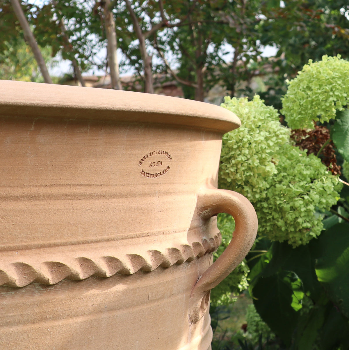 Im Vordergrund steht ein Terrakotta-Pflanzkübel XXL „Rosa“ (H=80cm) mit einem Griff und dekorativen Verzierungen. Er steht neben einem grünen Hortensienbusch mit blühenden Blüten, einige mit rosa Farbtönen. Im Hintergrund ist ein üppiger Garten mit verschiedenen Grünpflanzen zu sehen, wodurch der XXL-Pflanzkübel schön zur Geltung kommt.