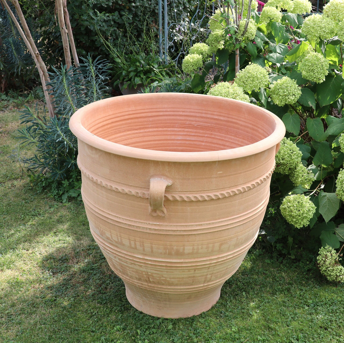 Ein großer, beigefarbener Terrakotta-Pflanzkübel XXL „Rosa“ mit einer Höhe von 80 cm steht im Freien auf einer Rasenfläche neben üppigen grünen Sträuchern und blühenden weißen Hortensien. Der Topf weist ein strukturiertes, geripptes Design mit griffähnlichen Elementen an den Seiten auf. Im Hintergrund ist ein Garten mit verschiedenen Pflanzen und Bäumen zu sehen.