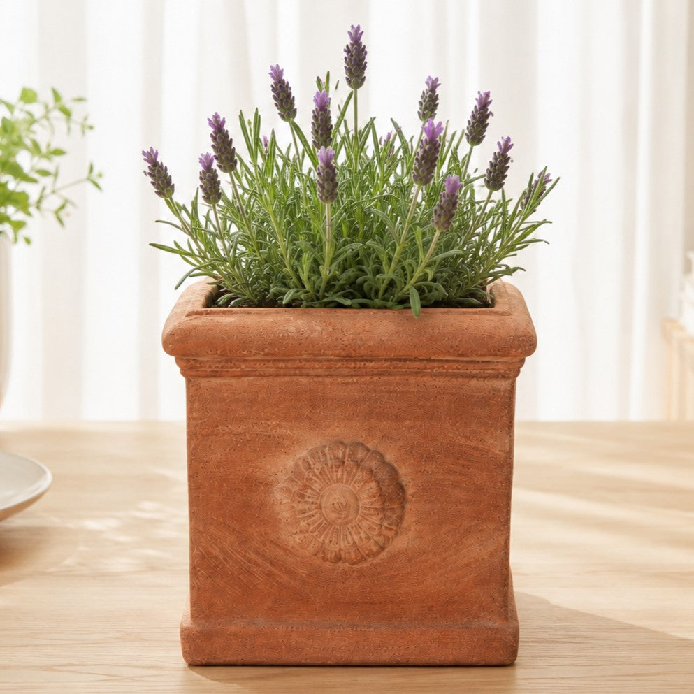 Der quadratische Terrakotta-Kübel „Rosone“ mit seinem dekorativen Blumenmuster beherbergt eine blühende Lavendelpflanze mit grünen Blättern und violetten Blüten, die auf einer hellen Holzfläche vor einem sanft unscharfen Hintergrund zu sehen ist.