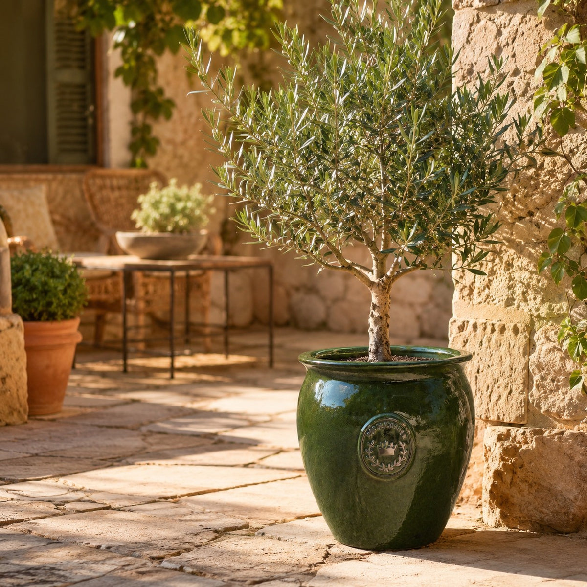 Ein kleiner Olivenbaum steht in einem grün glasierten Pflanztopf „Eggpot“ (29–46 cm hoch) auf einer sonnigen Steinterrasse, im Hintergrund sind rustikale Steinmauern und Gartenmöbel zu sehen.