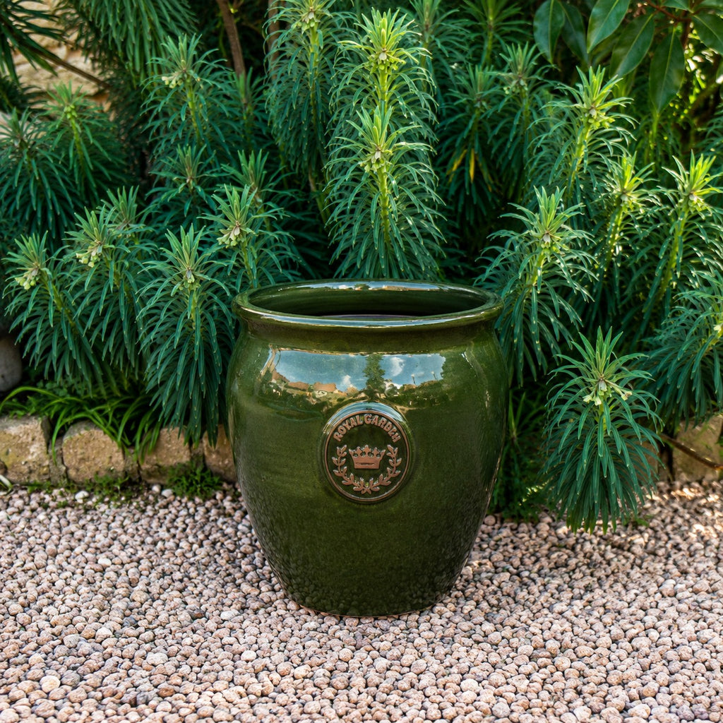 Der grün glasierte Blumentopf „eggpot“ (29–46 cm hoch) mit dem Emblem der Royal Botanic Gardens strahlt auf kleinen Kieselsteinen, umgeben von üppigem Gartengrün.