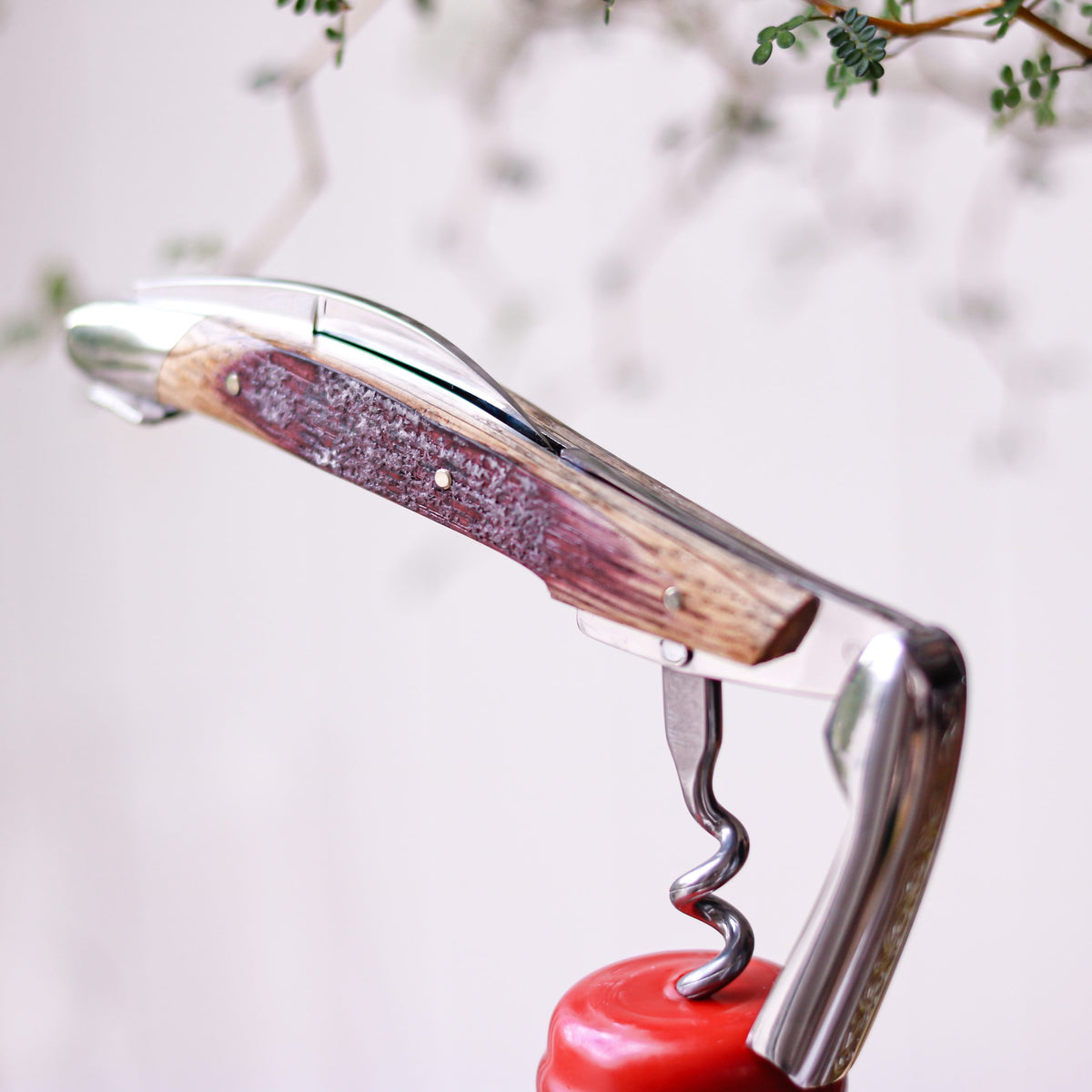 Forge De Laguiole Kellnermesser Sommelier , Fasseiche