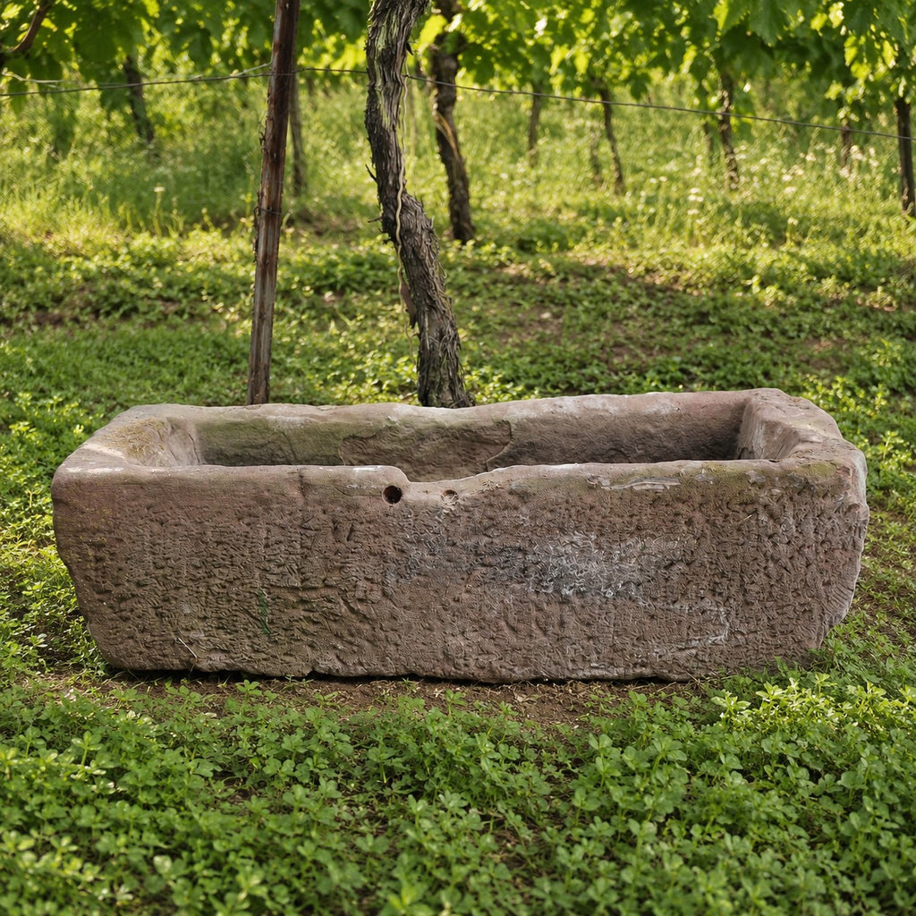 Die Sandstein Vorlage - ohne Loch (Kopie), ein großer rechteckiger Steintrog, steht auf einer Wiese in einem Weinberg, umgeben von üppigen grünen Reben und Blattpflanzen im Hintergrund.