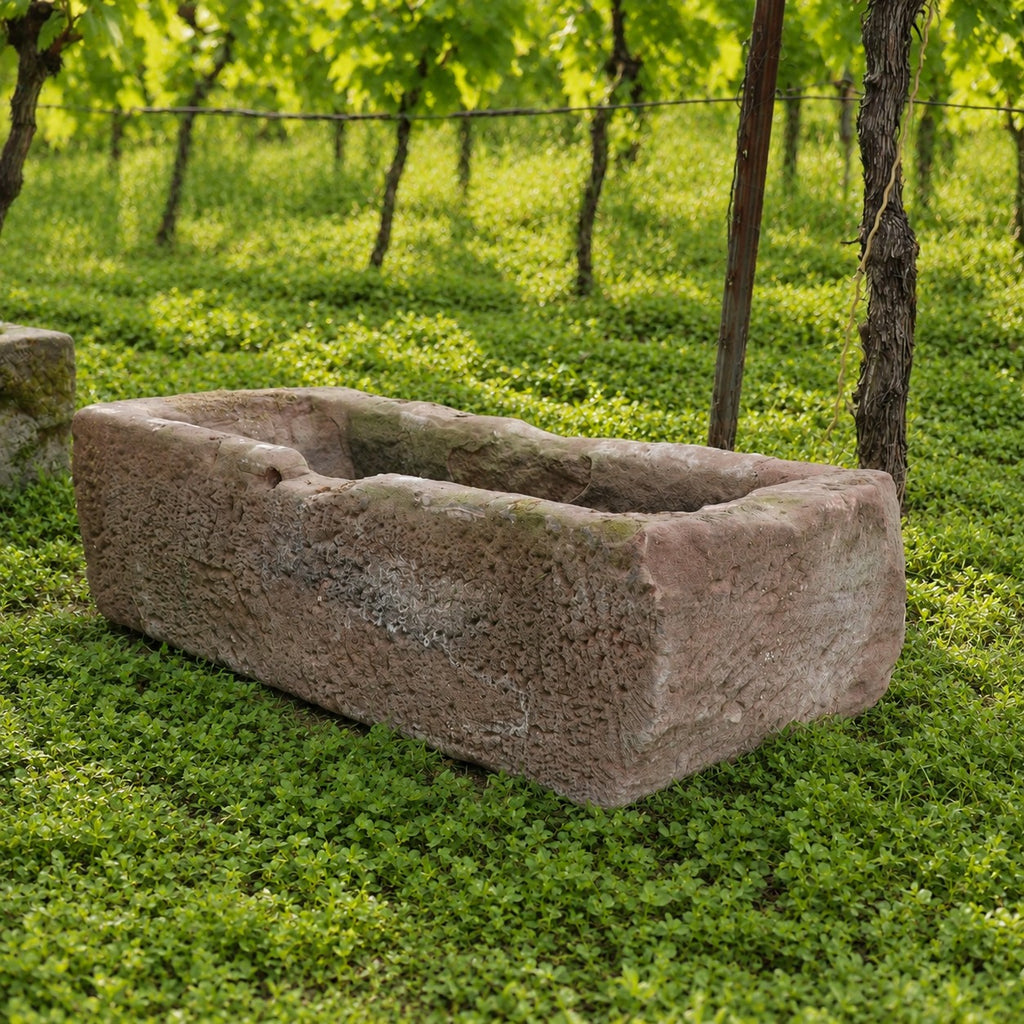 Die Sandstein Vorlage - ohne Loch (Kopie) ist ein großer rechteckiger Steintrog, der auf grünem Gras in einem Weinberg steht, umgeben von belaubten Weinstöcken, die von Holzpfosten und einem Drahtzaun im Hintergrund gestützt werden.