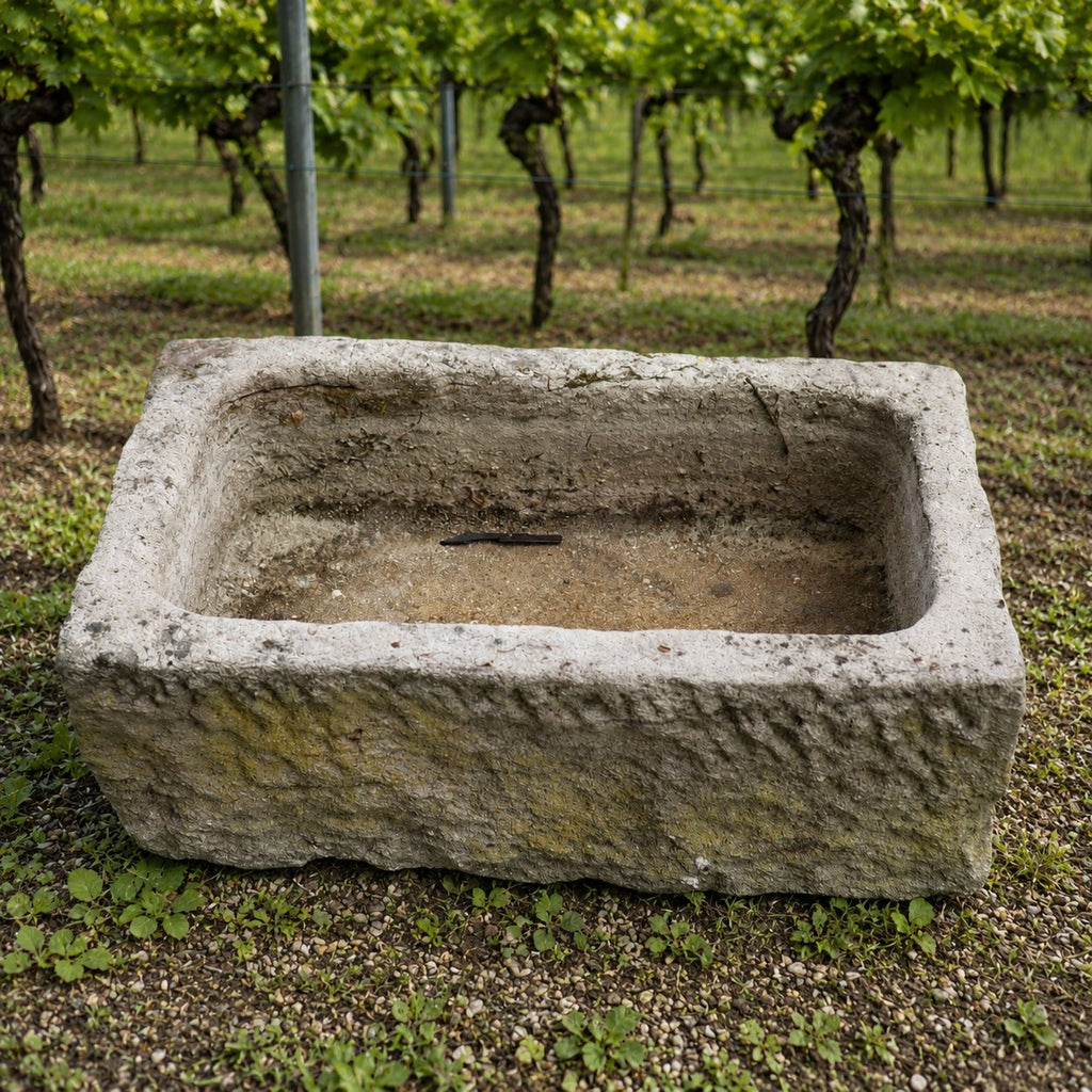 Der Sandstein Pflanztrog 83 x 54 x 30, ein rechteckiger Steintrog mit rauen Kanten, steht leer und verwittert auf Gras und Kies in einem Weinberg, dahinter Rebzeilen.