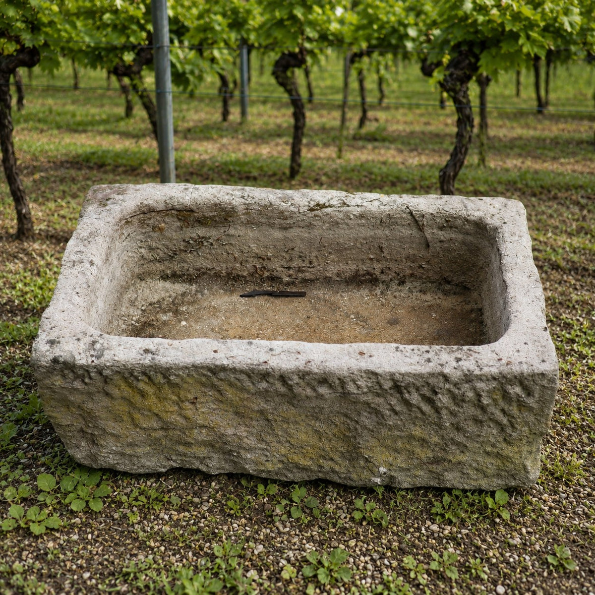 Der Sandstein Pflanztrog 83 x 54 x 30, ein rechteckiger Steintrog mit rauen Kanten, steht leer und verwittert auf Gras und Kies in einem Weinberg, dahinter Rebzeilen.