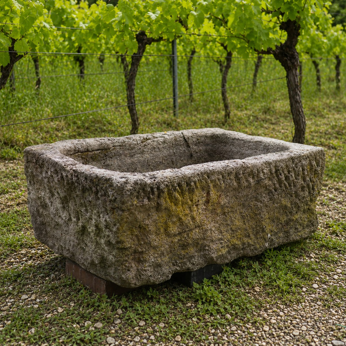 Der Sandstein Pflanztrog 83 x 54 x 30 mit seiner rauen, verwitterten Textur steht leicht erhöht auf Holzblöcken in einem Weinberg mit Rebzeilen im Hintergrund.