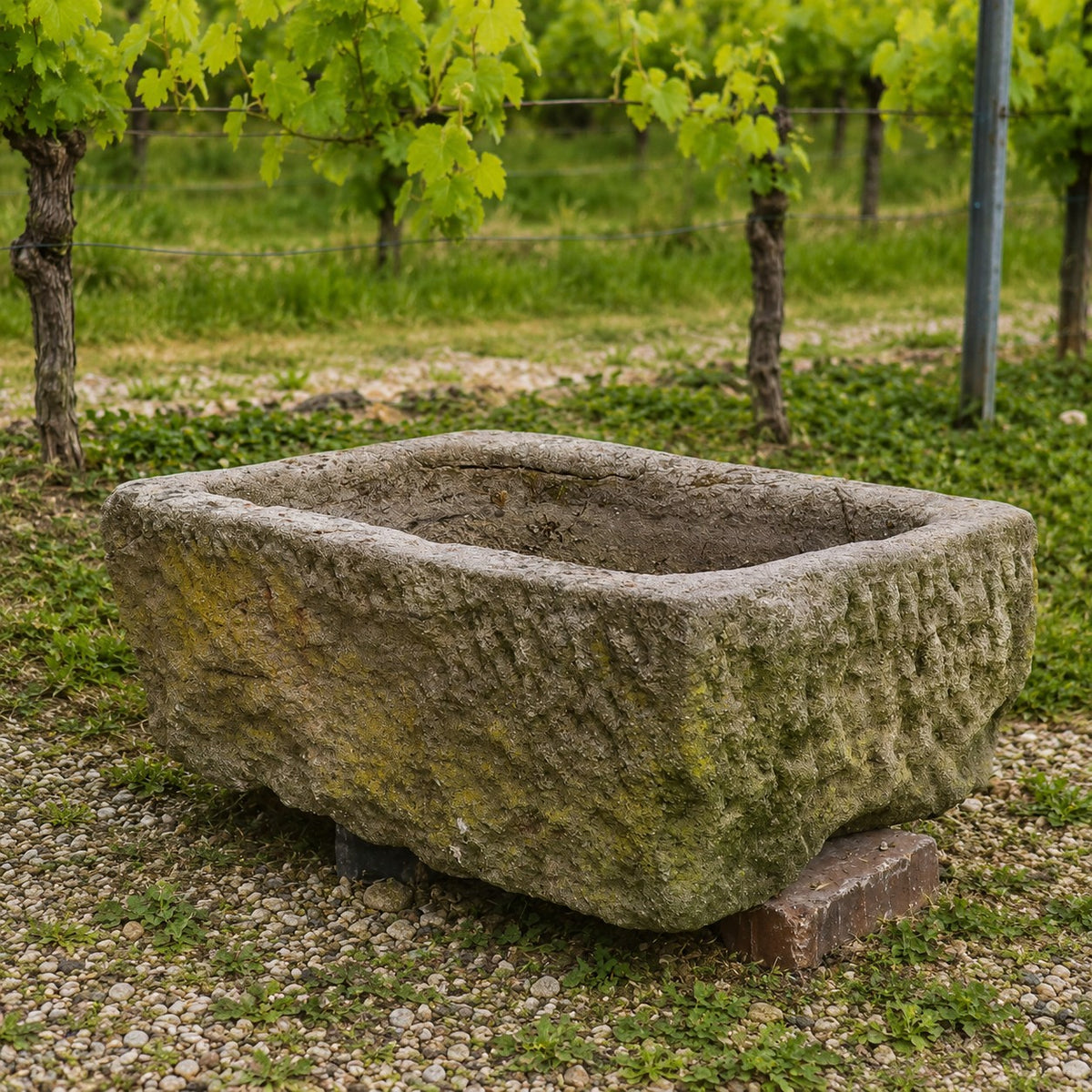 Der Sandstein Pflanztrog 83 x 54 x 30, ein rechteckiger Steintrog, steht auf Ziegelsteinen in einem Weinberg mit grünen Weinstöcken und Gras im Hintergrund.