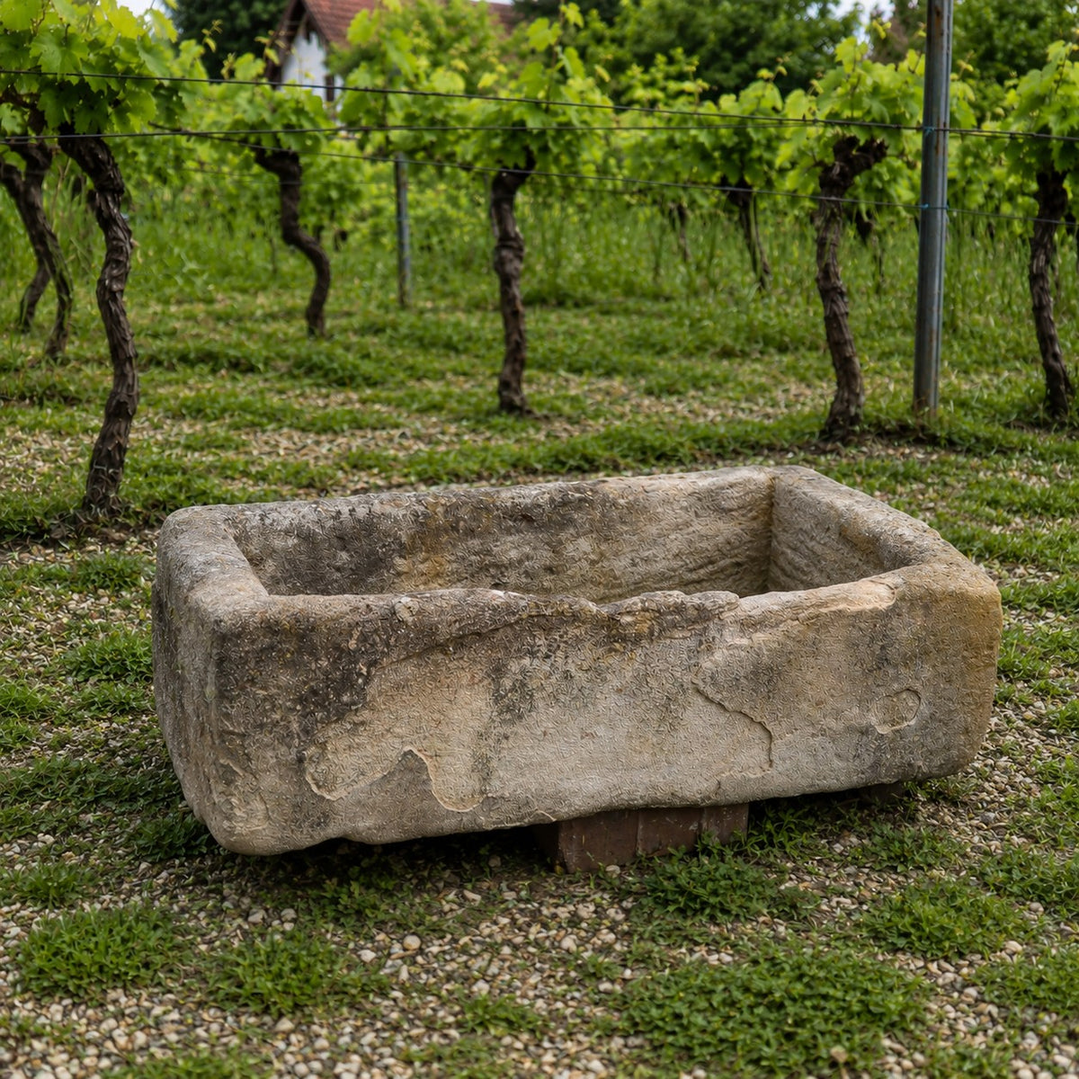 Das Waschbecken aus Sandstein 86 x 46 x 26 cm steht in einem üppigen Weinberg auf Kies vor lebendigen Weinstöcken, wobei grüne Blätter und gewundene Stämme einen malerischen Hintergrund bilden.