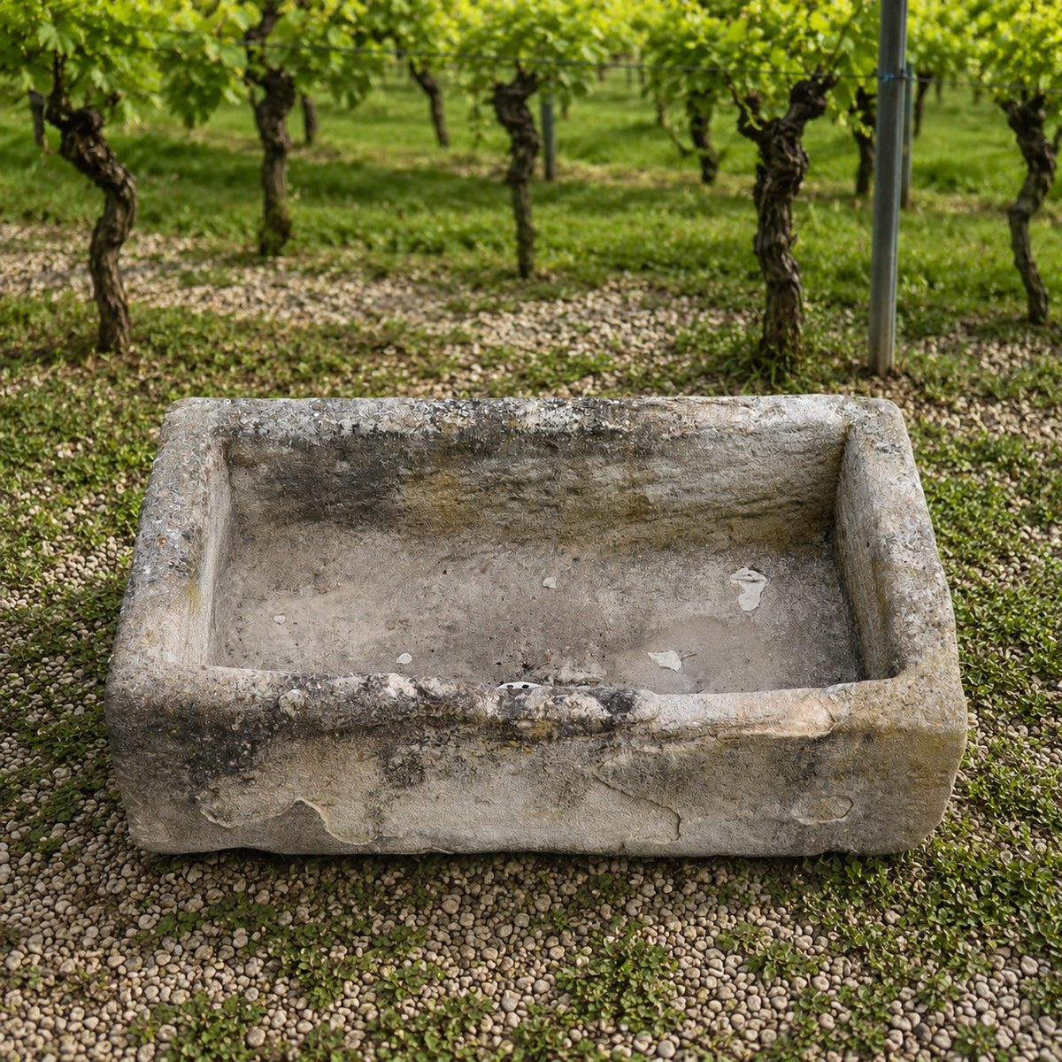 Ein Waschbecken aus Sandstein 86 x 46 x 26 cm ruht auf Kies vor Reihen von grünblättrigen Weinstöcken in einem Weinberg.