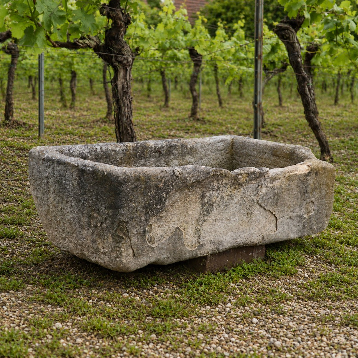 Das Waschbecken aus Sandstein 86 x 46 x 26 cm, mit rauen Kanten und rustikalem Aussehen, steht auf Gras und Kies vor den Weinstöcken.