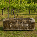 Ein altertümliches Becken aus Sandstein 97x33x23 cm mit Moos steht auf Gras vor Reihen von Weinreben im Weinberg, deren Blätter üppig grün sind.