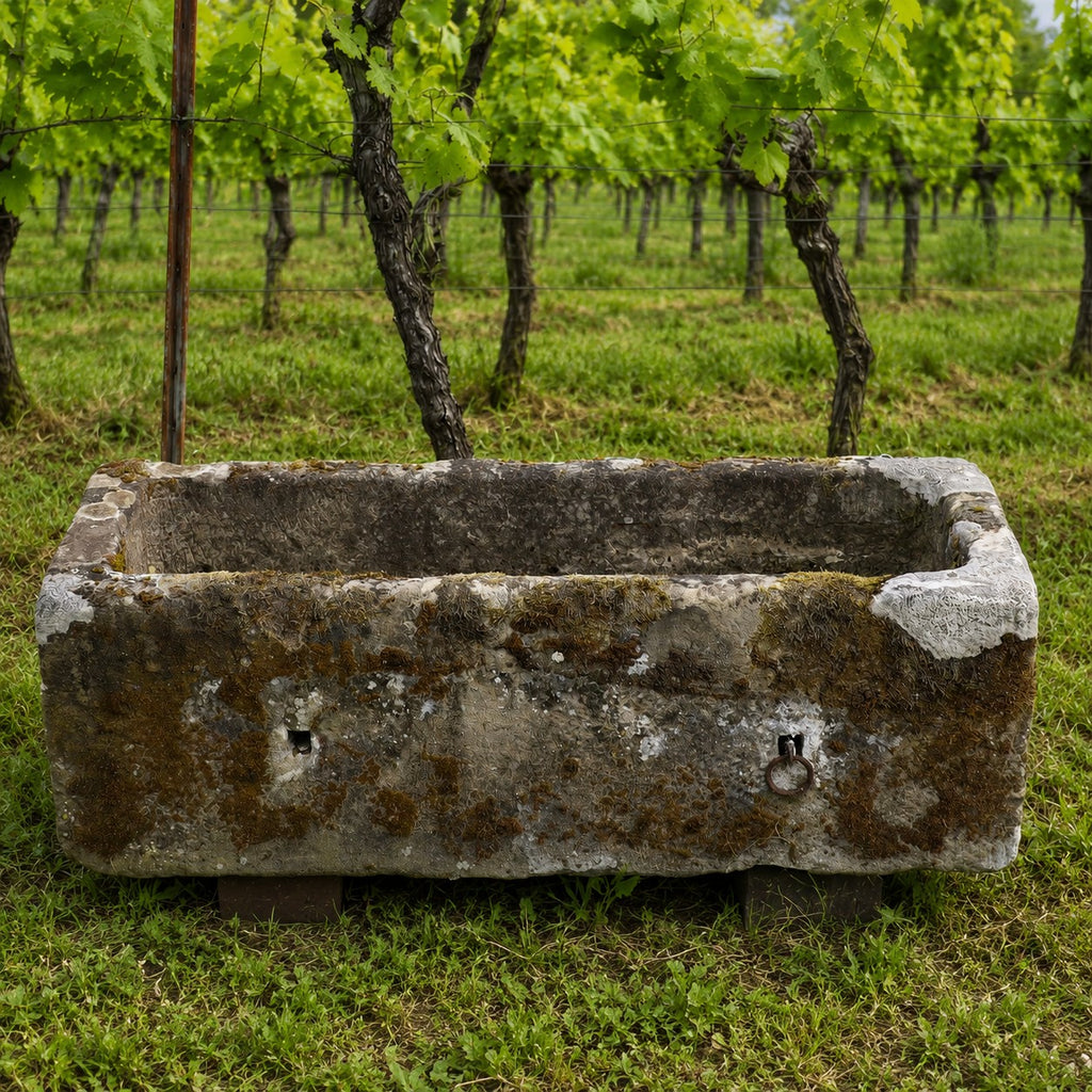 Ein altes Becken aus Sandstein 97x33x23 cm steht auf Gras vor Weinbergreihen mit grünen Blättern und Baumstämmen im Hintergrund.