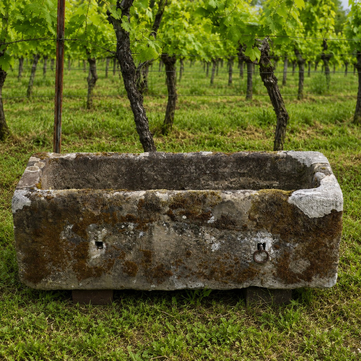 Ein altes Becken aus Sandstein 97x33x23 cm steht auf Gras vor Weinbergreihen mit grünen Blättern und Baumstämmen im Hintergrund.