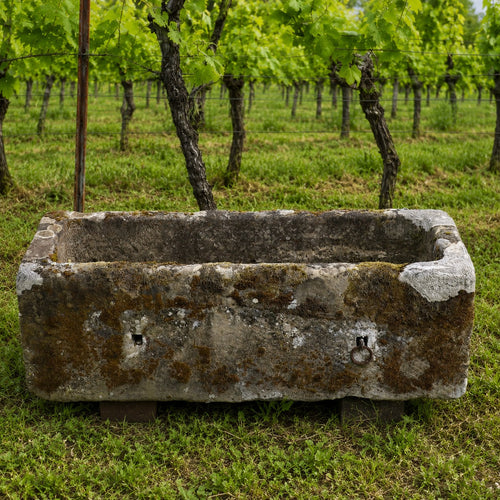 Ein altes Becken aus Sandstein 97x33x23 cm steht auf Gras vor Weinbergreihen mit grünen Blättern und Baumstämmen im Hintergrund.