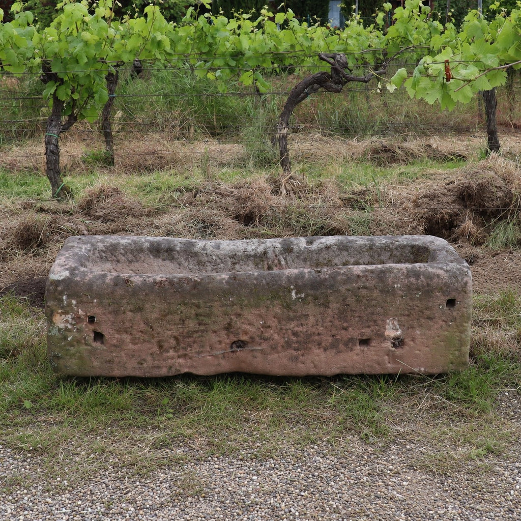 Ein Futtertrog aus Sandstein (117 x 36 x 30) steht auf Gras und Kies, im Hintergrund wachsen Weinreben.