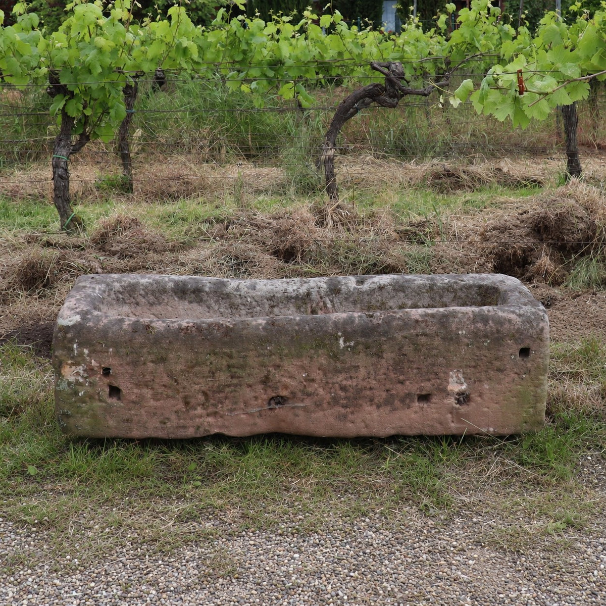 Ein Futtertrog aus Sandstein (117 x 36 x 30) steht auf Gras und Kies, im Hintergrund wachsen Weinreben.