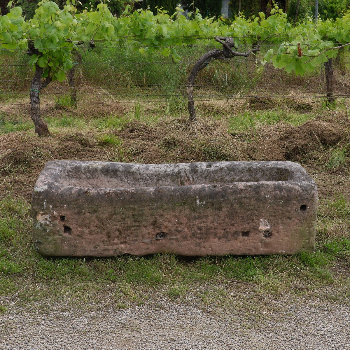 Ein Futtertrog aus Sandstein (117 x 36 x 30) steht auf der Wiese in der Nähe eines Weinbergs; im Hintergrund sind grüne Weinreben und Holzstützen zu sehen.