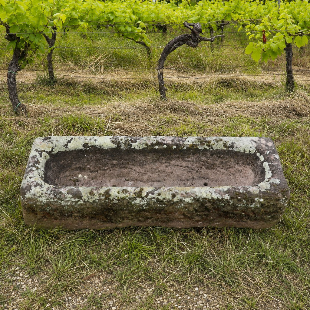 Ein „Antiker Sandsteintrog als Pflanzgefäß 99 x 32 x 25“ mit einer verwitterten, moosbewachsenen Oberfläche steht auf der Wiese vor Reihen von Weinreben in einem Weinberg.