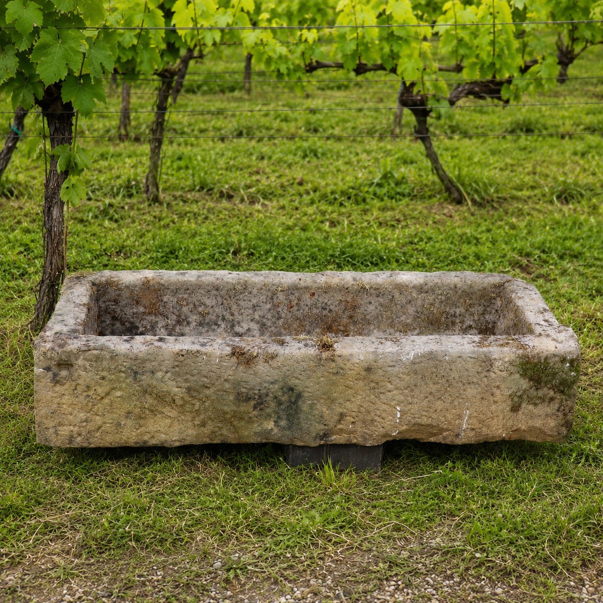 Die „Viehtränke aus Sandstein 112 x 39 x 25“, ein rechteckiger Sandstein-Tränke, steht auf einer Wiese in einem Weinberg, umgeben von üppig grünen Weinreben. Ihre verwitterte Oberfläche fügt sich nahtlos in die rustikale Landschaft ein.