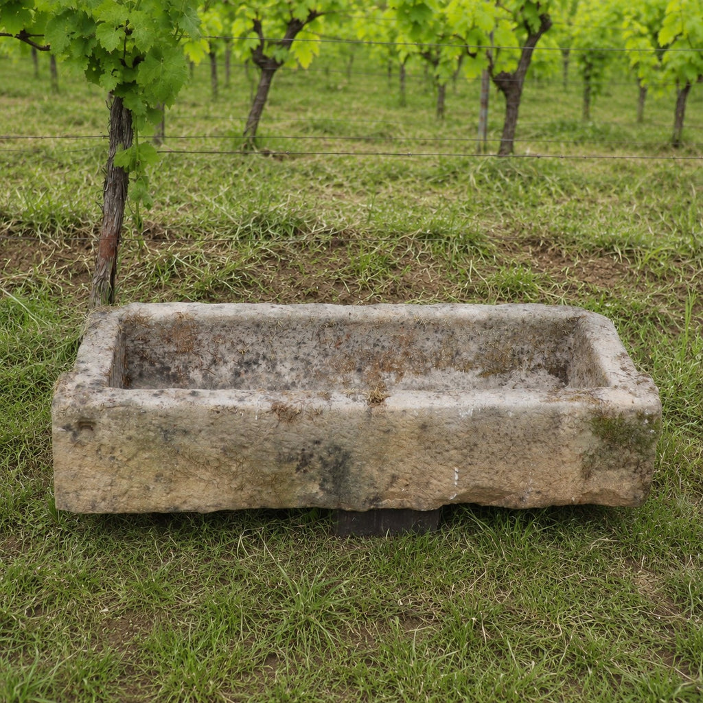 Eine rechteckige Viehtränke aus Sandstein (112 x 39 x 25) steht auf einer Wiese in einem Weinberg, umgeben von grünen Reben und ordentlich geschnittenen Reihen von Rebstöcken.