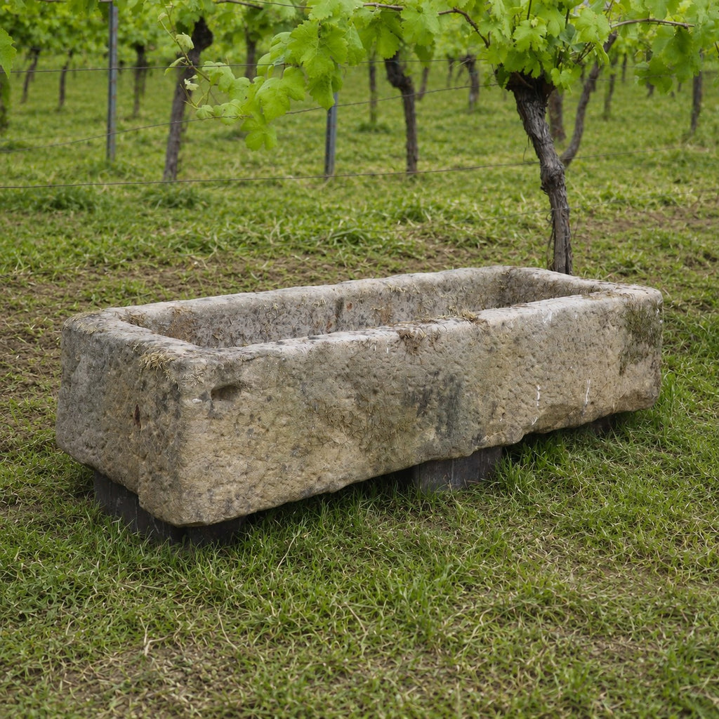 Eine große, rechteckige Viehtränke aus Sandstein (112 x 39 x 25) steht auf der Wiese in einem Weinberg, umgeben von Reihen mit Weinreben und grünen Blättern.