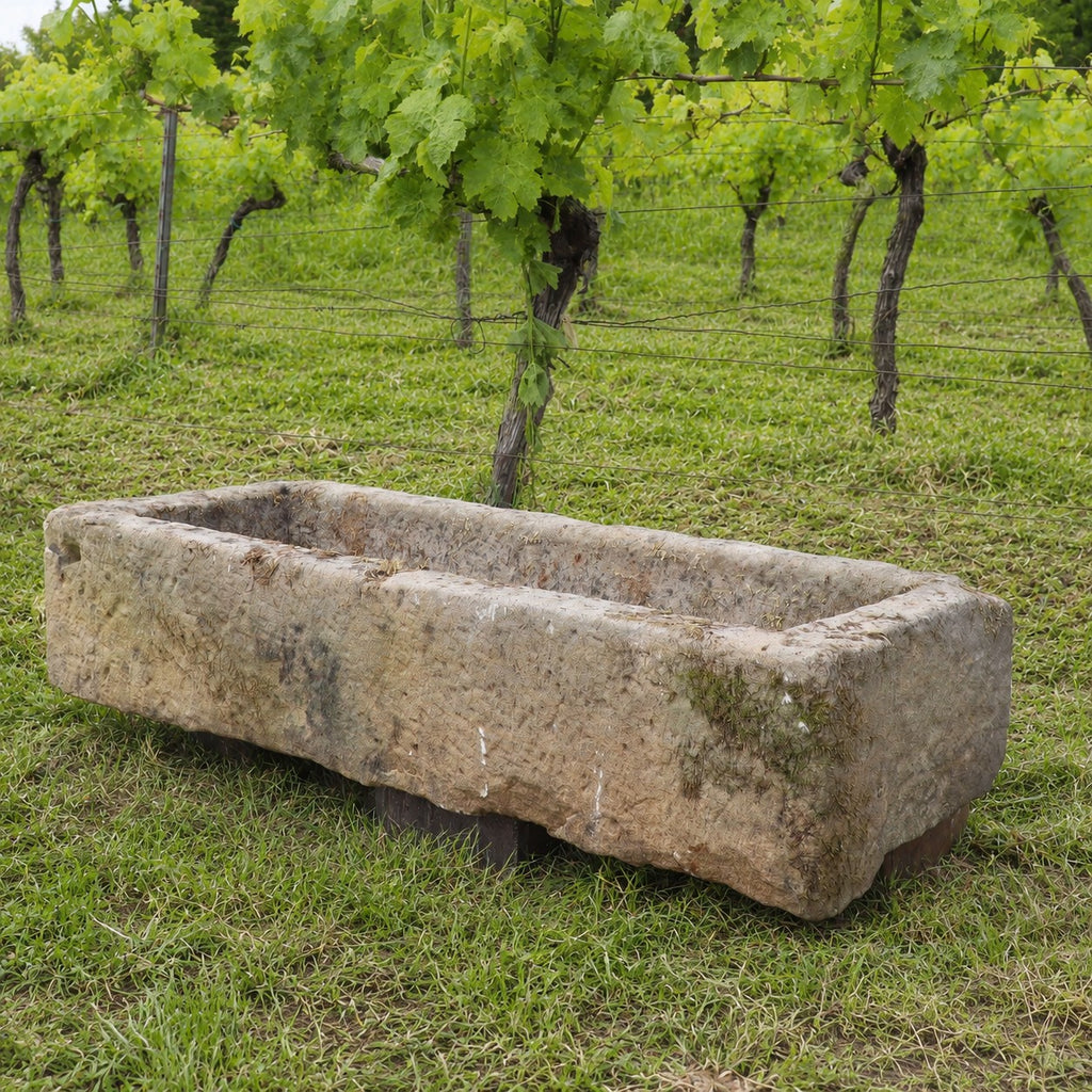 Eine große, rechteckige Viehtränke aus Sandstein (112 x 39 x 25) steht auf einer Wiese vor Weinreben in einem Weinberg.