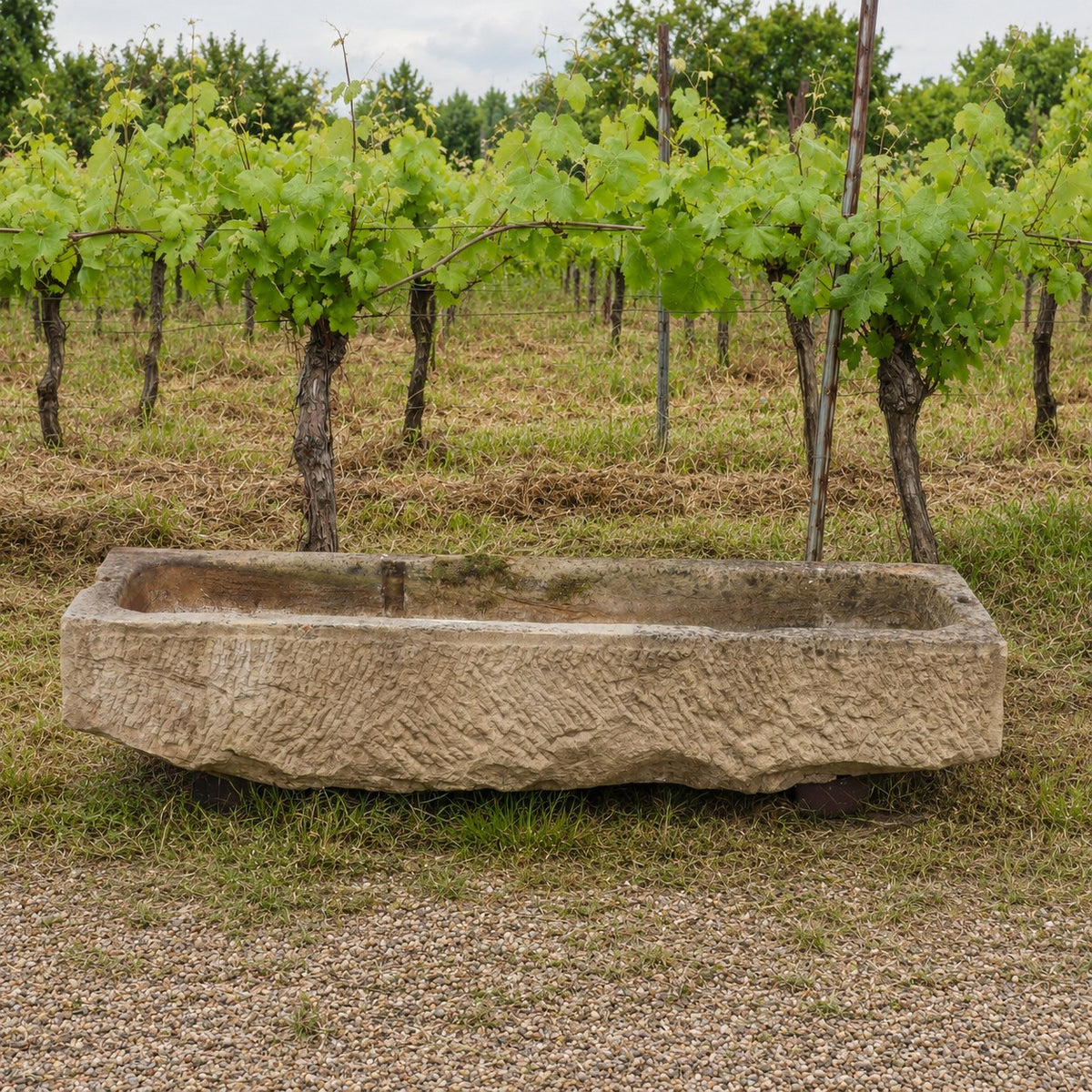 Ein handgefertigter Steintrog (150 x 42 x 27) steht auf der Wiese vor den Rebreihen eines Weinbergs. Dieser nostalgische Pflanzkübel hat eine rechteckige Form mit rauen, strukturierten Seiten, die der rustikalen Szenerie einen zeitlosen Charme verleihen.