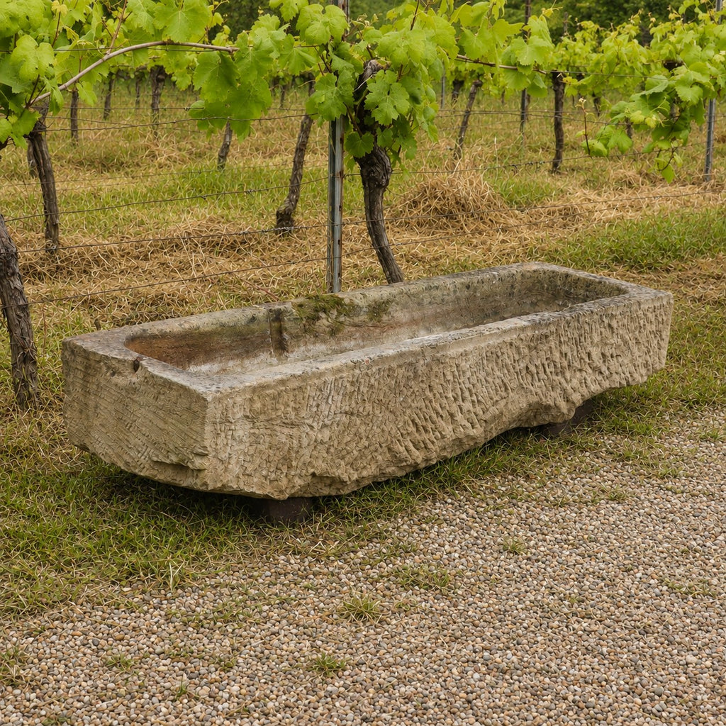 Ein großes, nostalgisches, handbehauenes Steintrog (150 x 42 x 27) steht auf Kies neben Reihen von Weinreben im Weinberg, mit grünem Laub im Hintergrund.