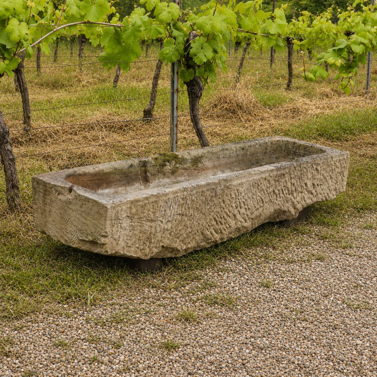 Ein großes, nostalgisches, handbehauenes Steintrog (150 x 42 x 27) steht auf Kies neben Reihen von Weinreben im Weinberg, mit grünem Laub im Hintergrund.