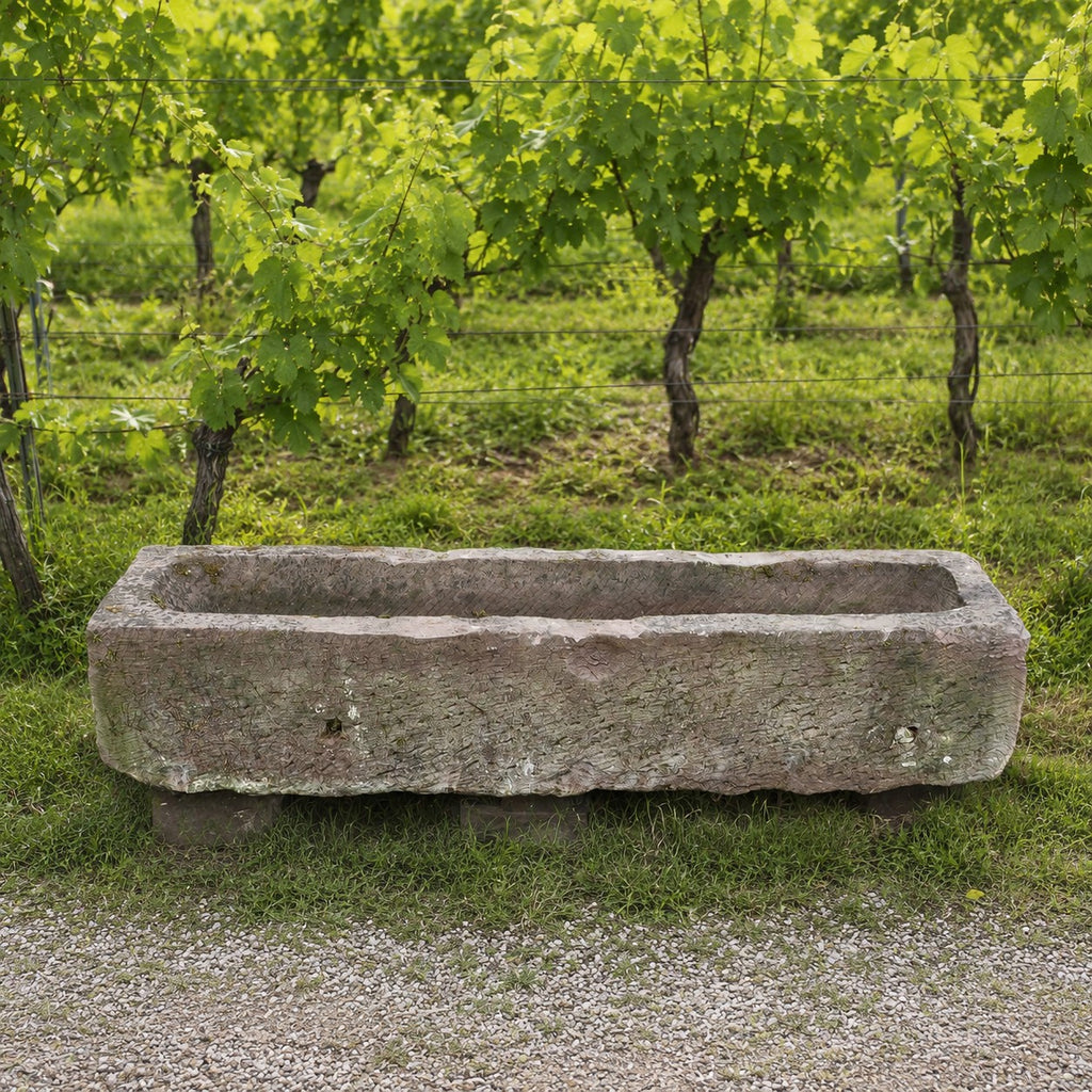 Ein nostalgischer Bauerntrog aus Sandstein (147 x 39 x 30) in großer rechteckiger Form dient als nostalgischer Pflanzkübel; er steht auf dem Rasen neben einem Kiesweg, im Hintergrund wachsen üppig grüne Weinreben.