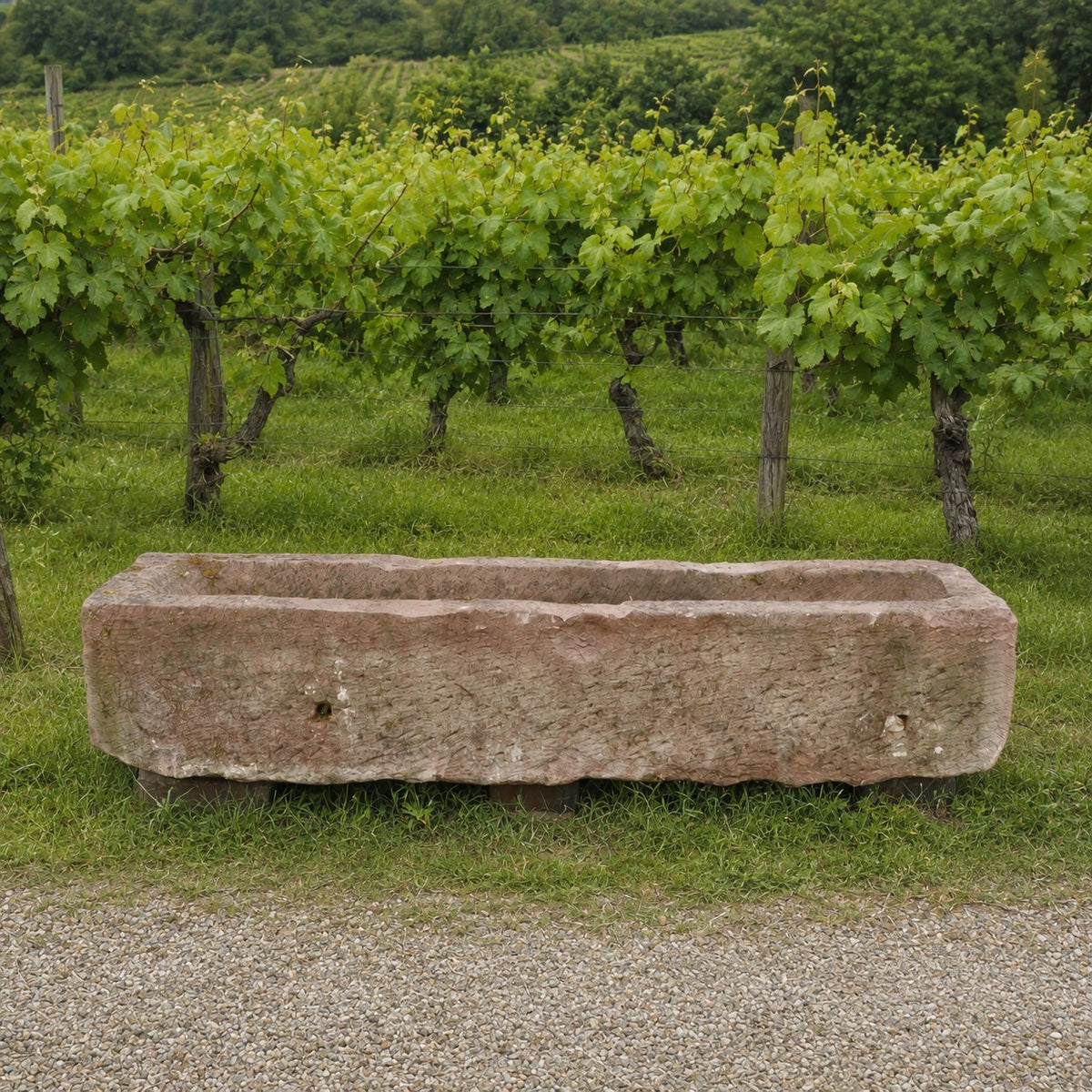 Ein großer, rechteckiger, nostalgischer Bauerntrog aus Sandstein (147 x 39 x 30) steht auf der Wiese vor Reihen von Weinreben in einem Weinberg, im Hintergrund sind Hügel und Bäume zu sehen.