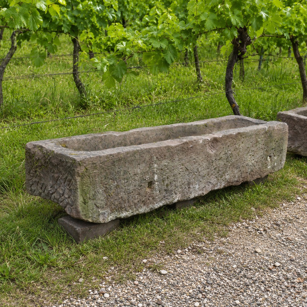 Ein großer, rechteckiger, nostalgischer Bauerntrog aus Sandstein (147 x 39 x 30) steht auf einer Wiese vor einem Weinberg mit grünen Weinreben und einem Kiesweg in der Nähe.