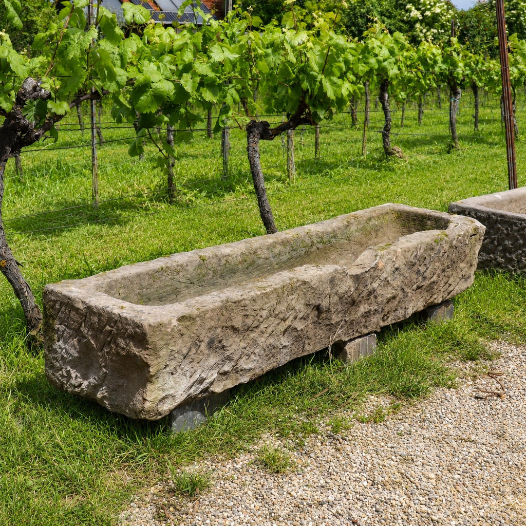 Ein altertümlicher Futtertrog aus Sandstein (152 x 39 x 25) steht auf einer Wiese neben einem Schotterweg, im Hintergrund sind Reihen von Weinreben zu sehen.