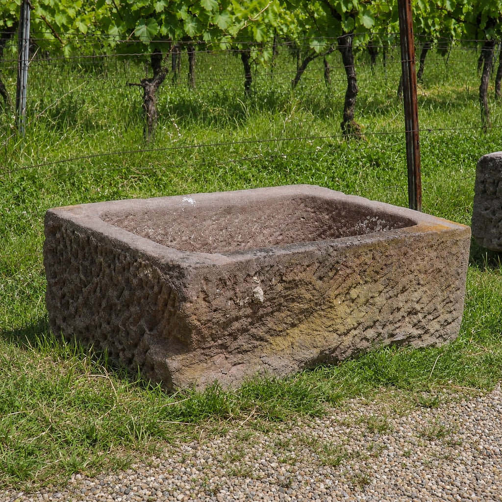 Auf der Wiese in der Nähe eines Kieswegs steht ein großes, rechteckiges Natursteinbecken aus Sandstein (78 × 53 × 29), im Hintergrund wachsen Weinreben an Spalieren.