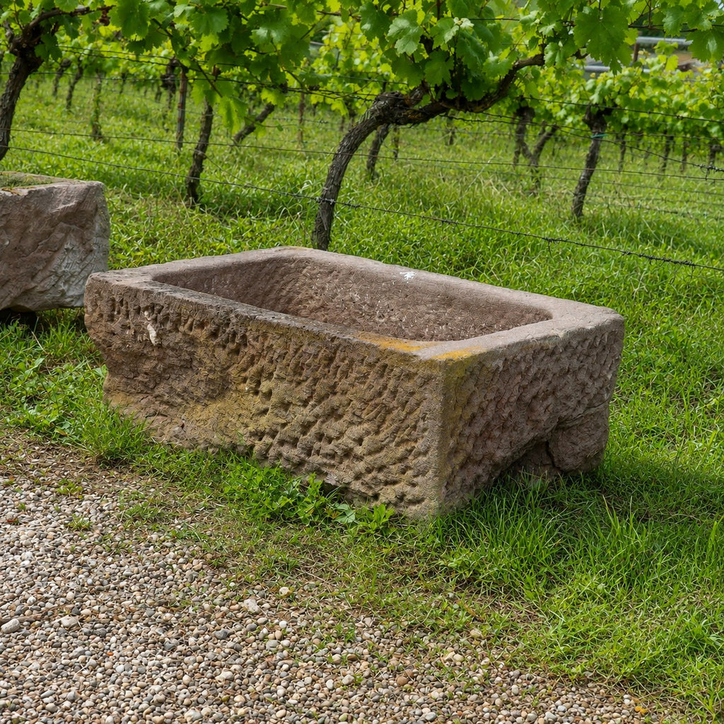 Ein verwittertes Natursteinbecken aus Sandstein (78 x 53 x 29) steht auf einer Rasenfläche neben einem Kiesweg, im Hintergrund sind grüne Weinbergreihen unter blättrigen Reben zu sehen.
