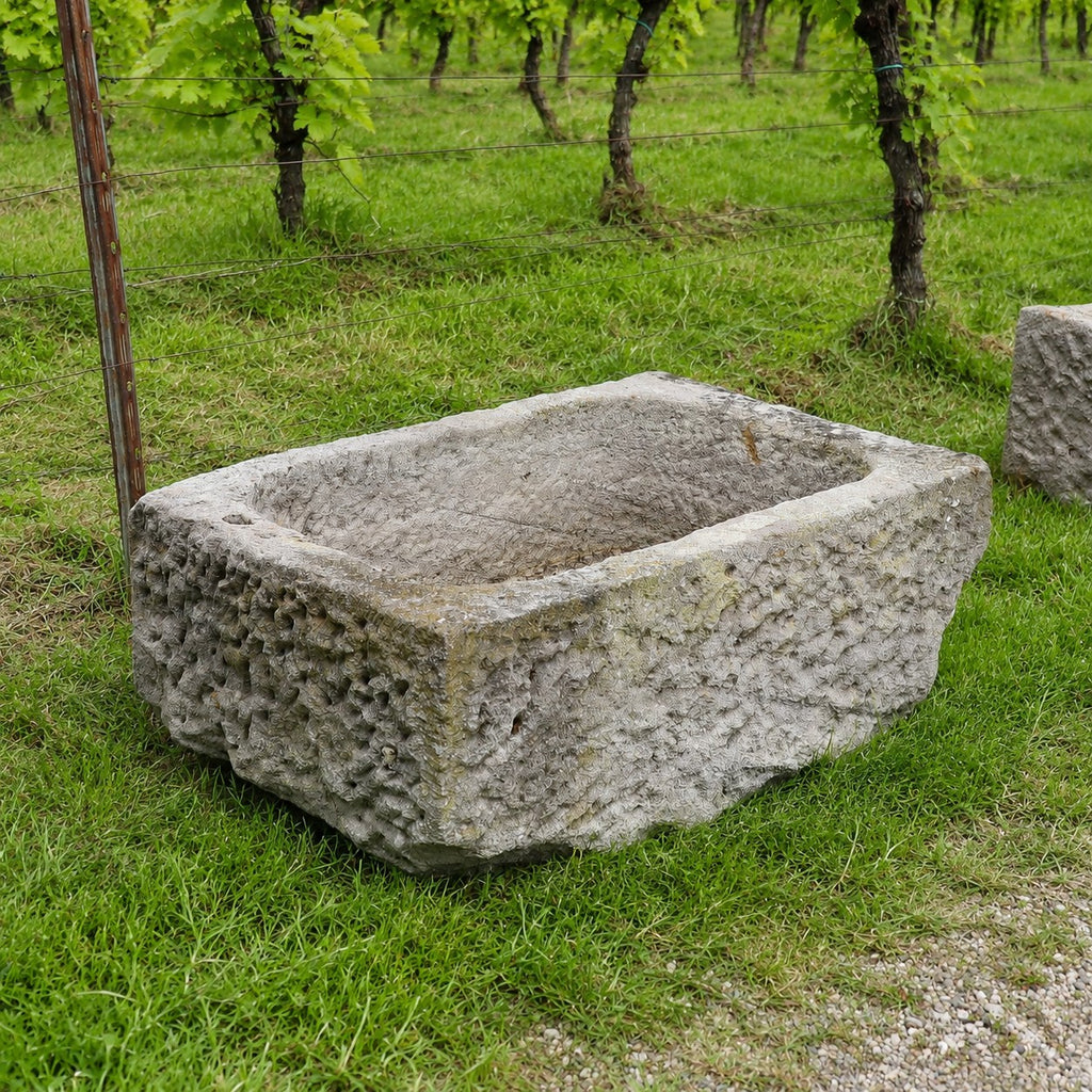 Ein „Alter Sandsteintrog“ (84 x 55 x 32) – ein rechteckiger, verwitterter Steintrog – steht auf der Wiese in einem Weinberg, im Hintergrund sind üppig grüne Reben und belaubte Rebzeilen zu sehen.