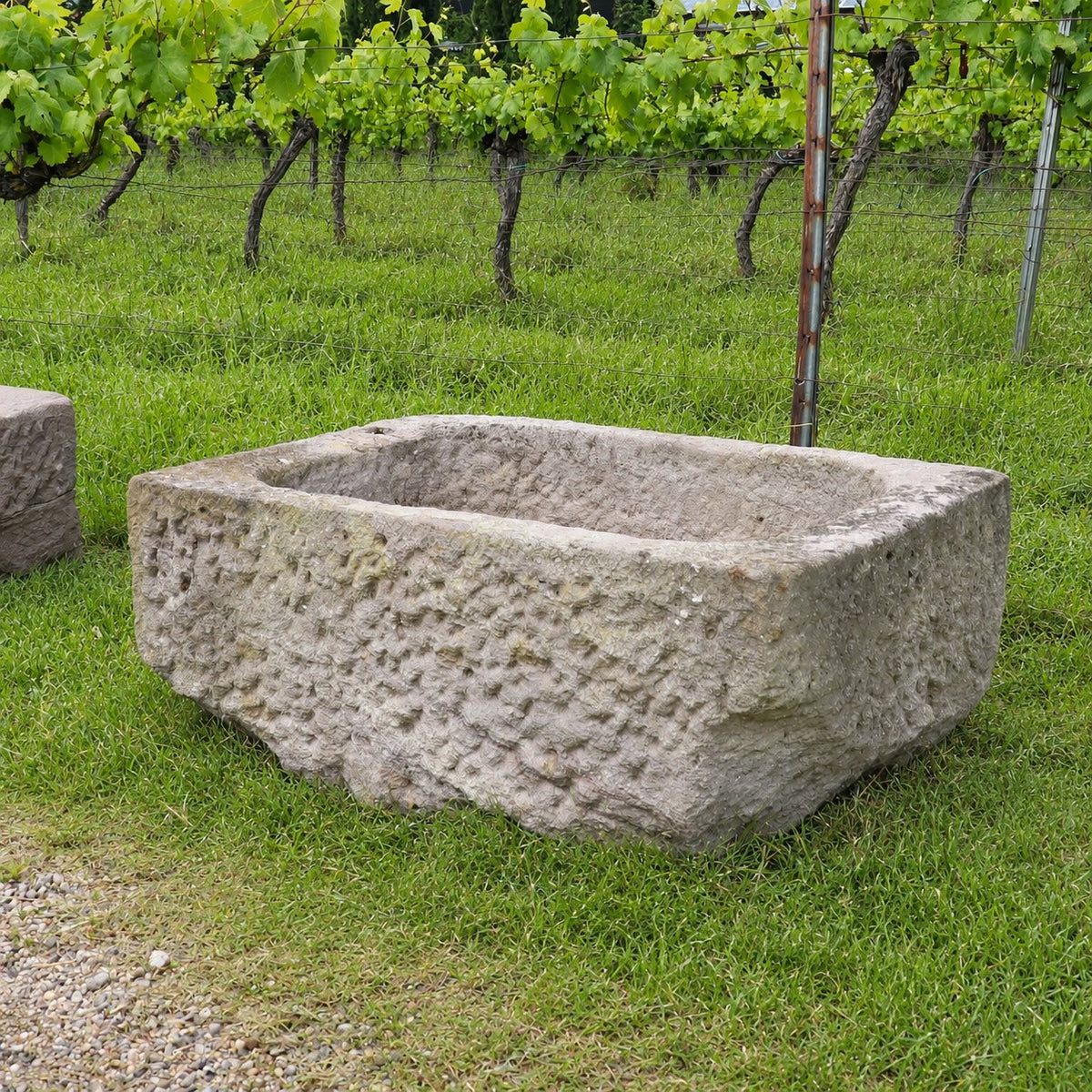Ein „Alter Sandsteintrog“ (84 x 55 x 32), ein großes rechteckiges Steintrog, steht auf einer Wiese, im Hintergrund sind Weinreben und üppiges grünes Laub zu sehen.