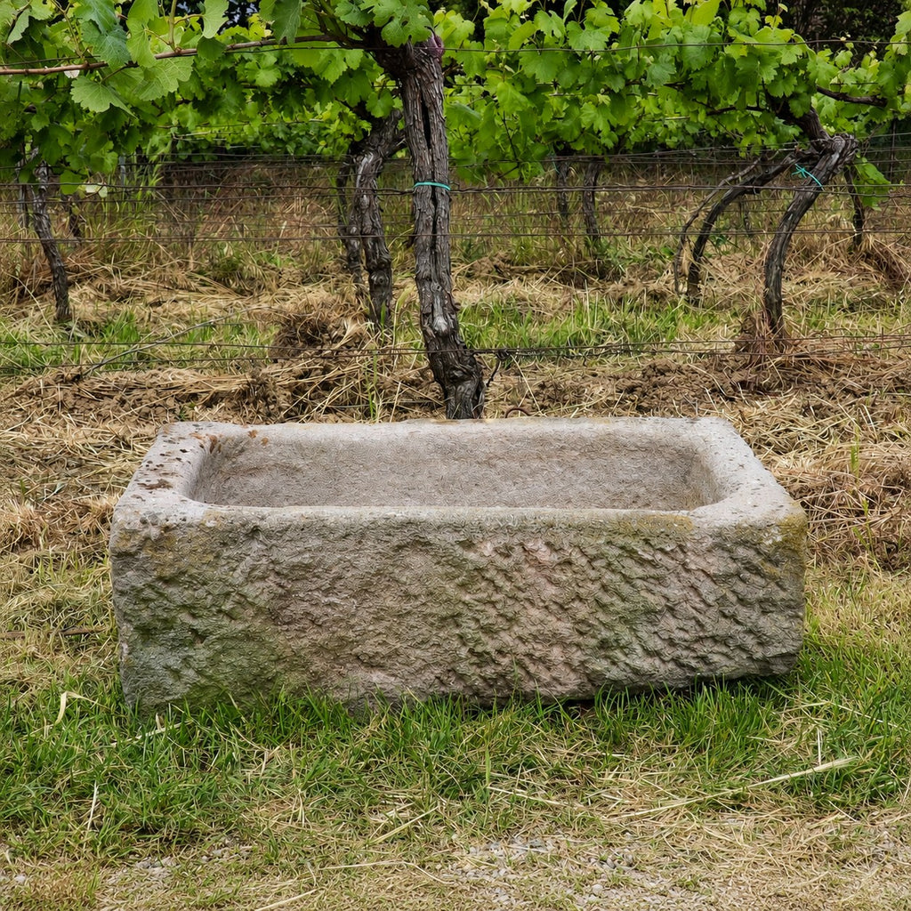 Ein „alter Sandsteintrog 84 x 55 x 32 (Kopie)“ steht auf einer Wiese vor Weinreben, die in einem Weinberg wachsen. Der verwitterte rechteckige Trog ist leer.