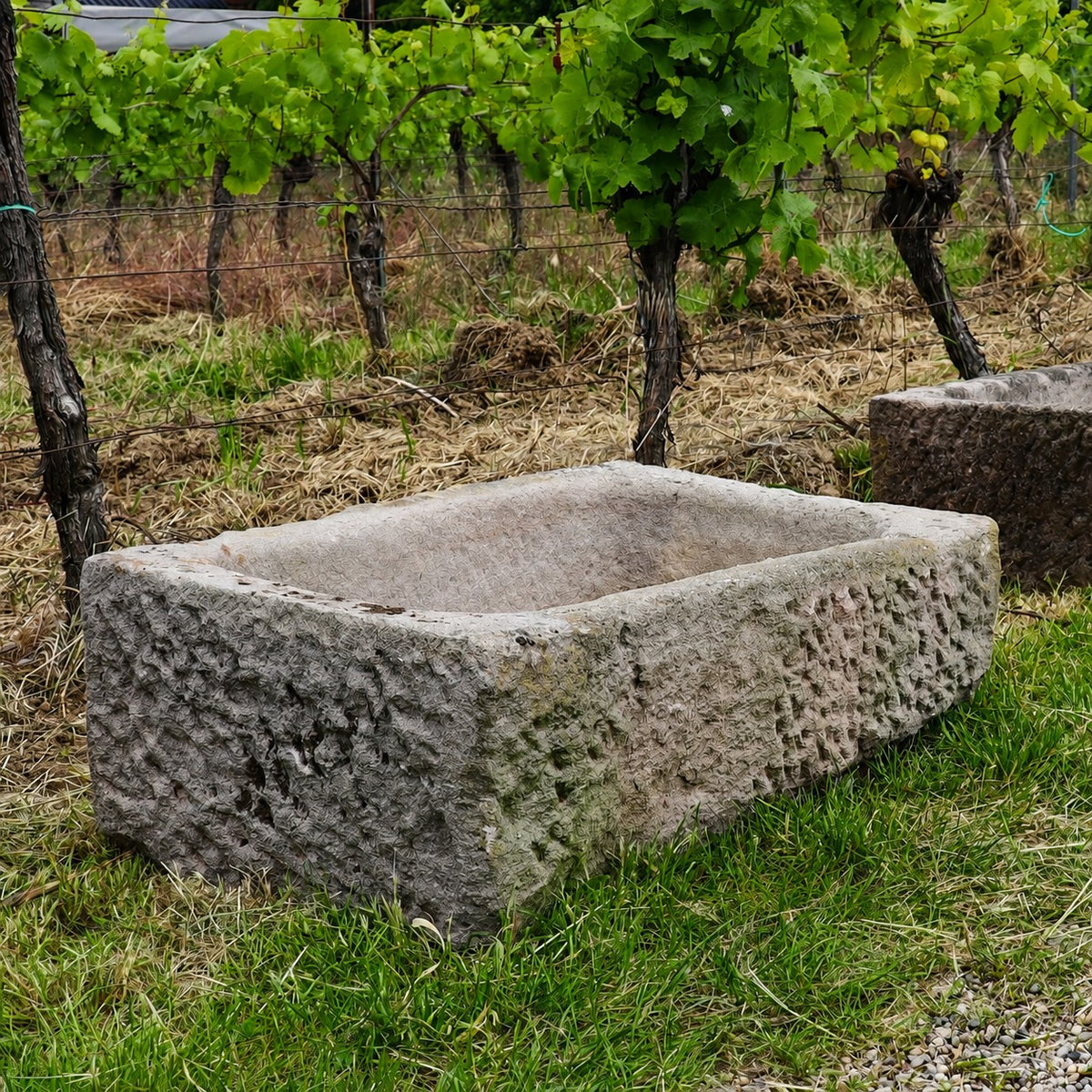 Ein Sandsteintrog 84 x 55 x 32 (Kopie) mit einer groben, rechteckigen Form steht auf der Wiese in der Nähe eines Weinbergs, umgeben von Weinreben und einem Drahtzaun im Hintergrund.