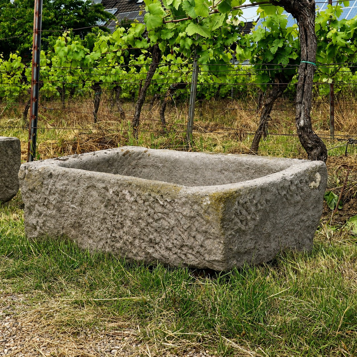 Ein alter Sandsteintrog (83 x 54 x 30) mit rauer Oberfläche steht auf einer Rasenfläche vor einem Weinberg, im Hintergrund sind grüne Weinreben und Pfähle zu sehen.