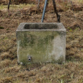 Ein verwitterter alter Brunnentrog (55 x 43 x 40) mit einem Rohrauslauf, der auf einer Wiese steht und Spuren des Alters sowie grünen Moosbewuchs aufweist; er erinnert an traditionelle Tröge, wie man sie in ländlichen Gegenden findet.